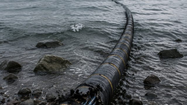 Major Internet Disruption Linked to North American Fiber Cut