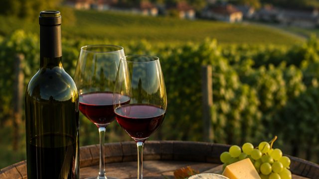 Discovering Burgenland's Wine Treasures: An Insider's Look
