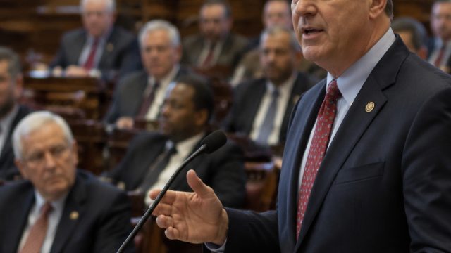 Georgia Lawmakers Move to Strengthen Ele