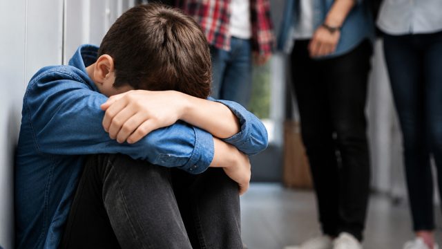Addressing School Bullying: A Call to Ac